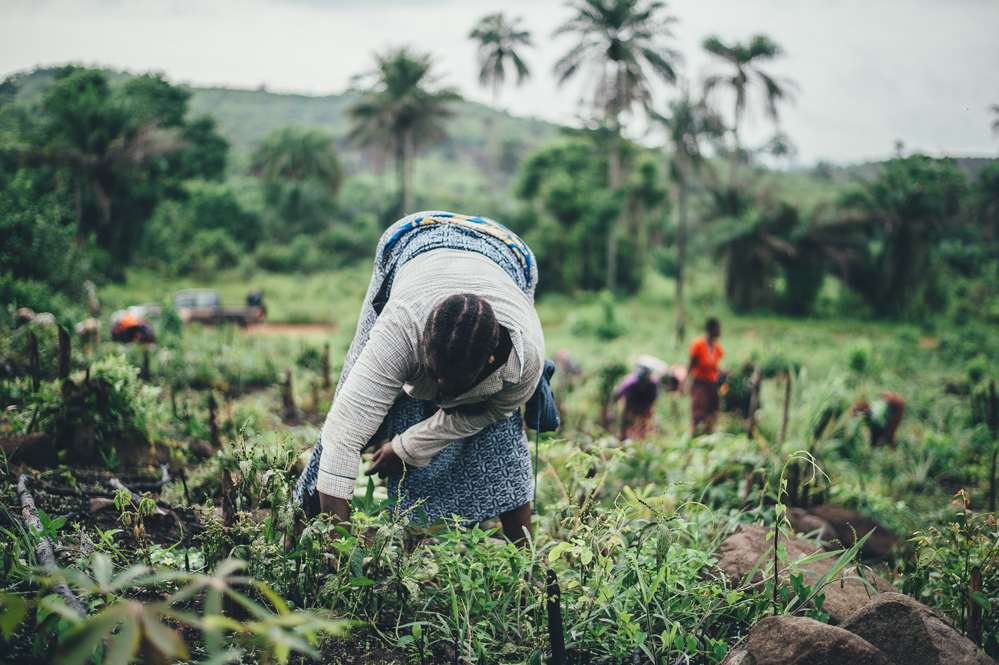 Agriculture, Climate and Food Security