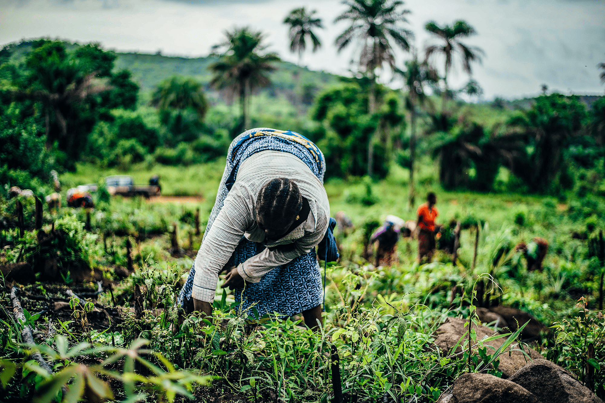 Agriculture, Climate and Food Security