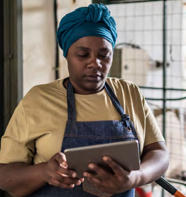 Sustainable and Inclusive Digital Transformation Program